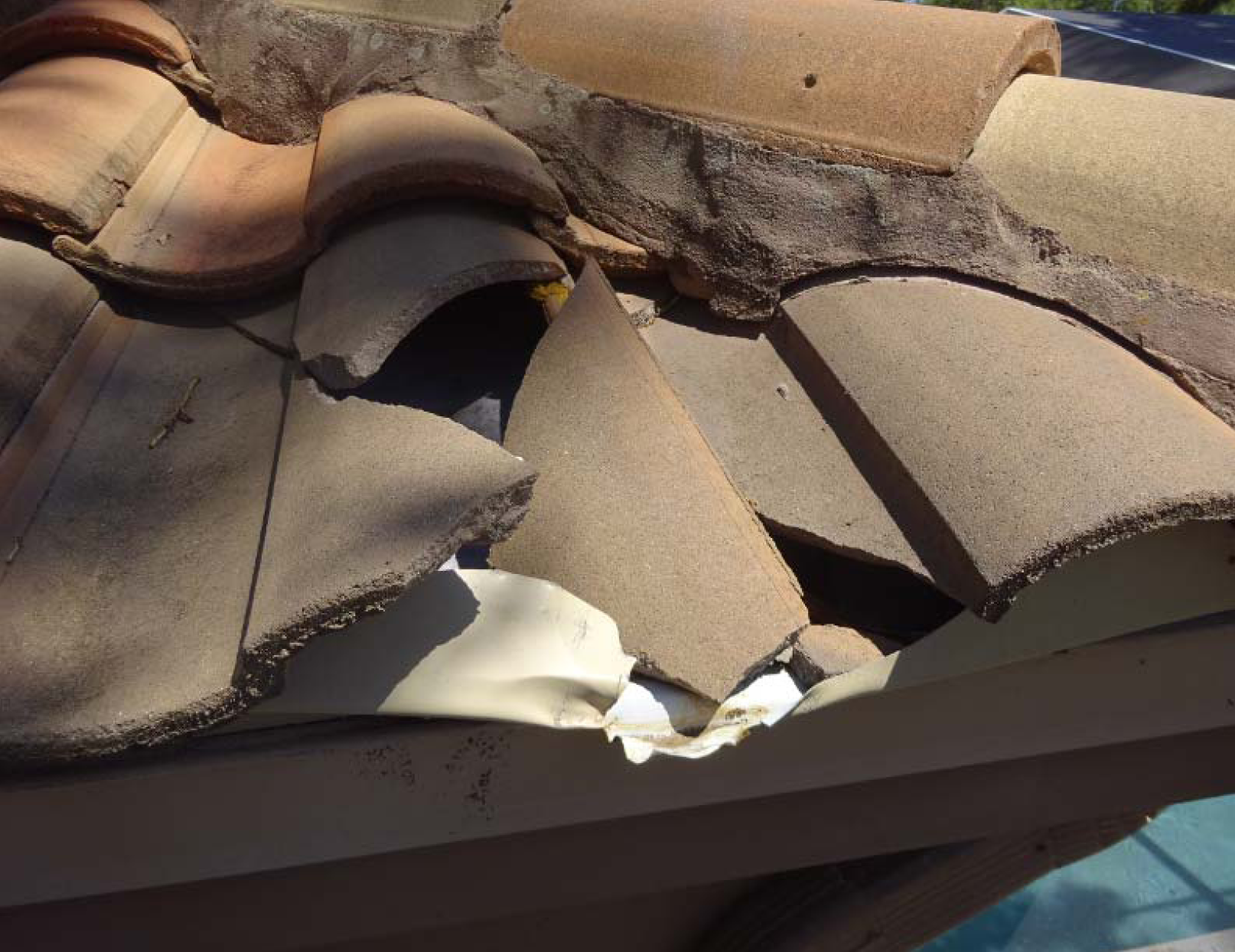 Roof Certification Pinellas and Tampa Roof Certification Pinellas and Tampa